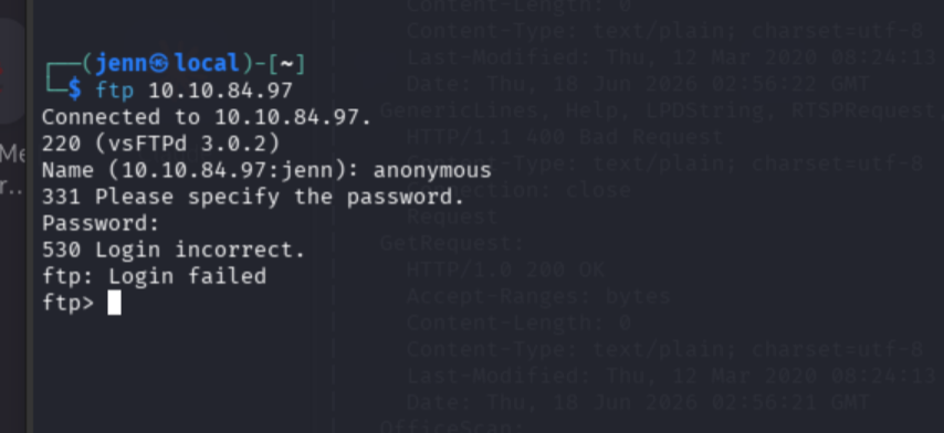 FTP anonymous login to the Shrek box confirmed
